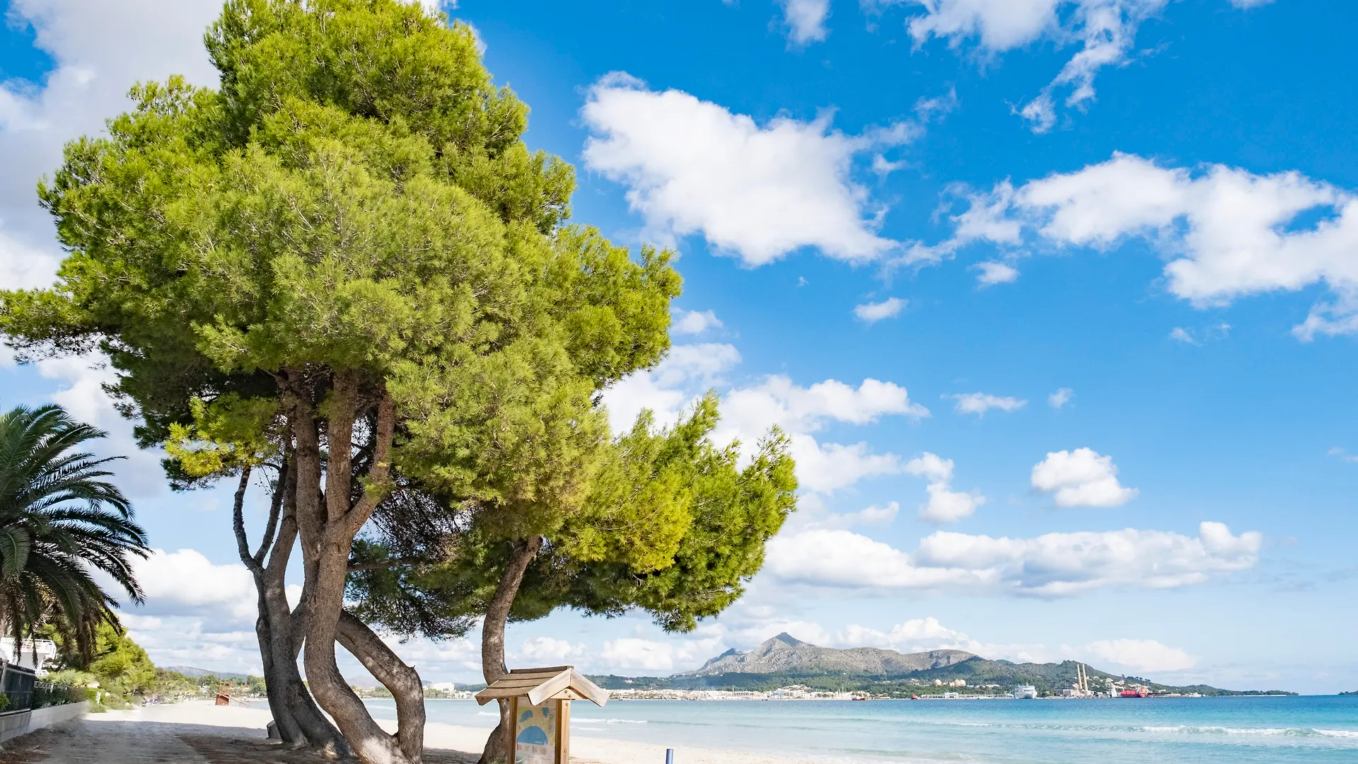 Apart Otel Eix Platja Daurada Hotel & Spa Can Picafort