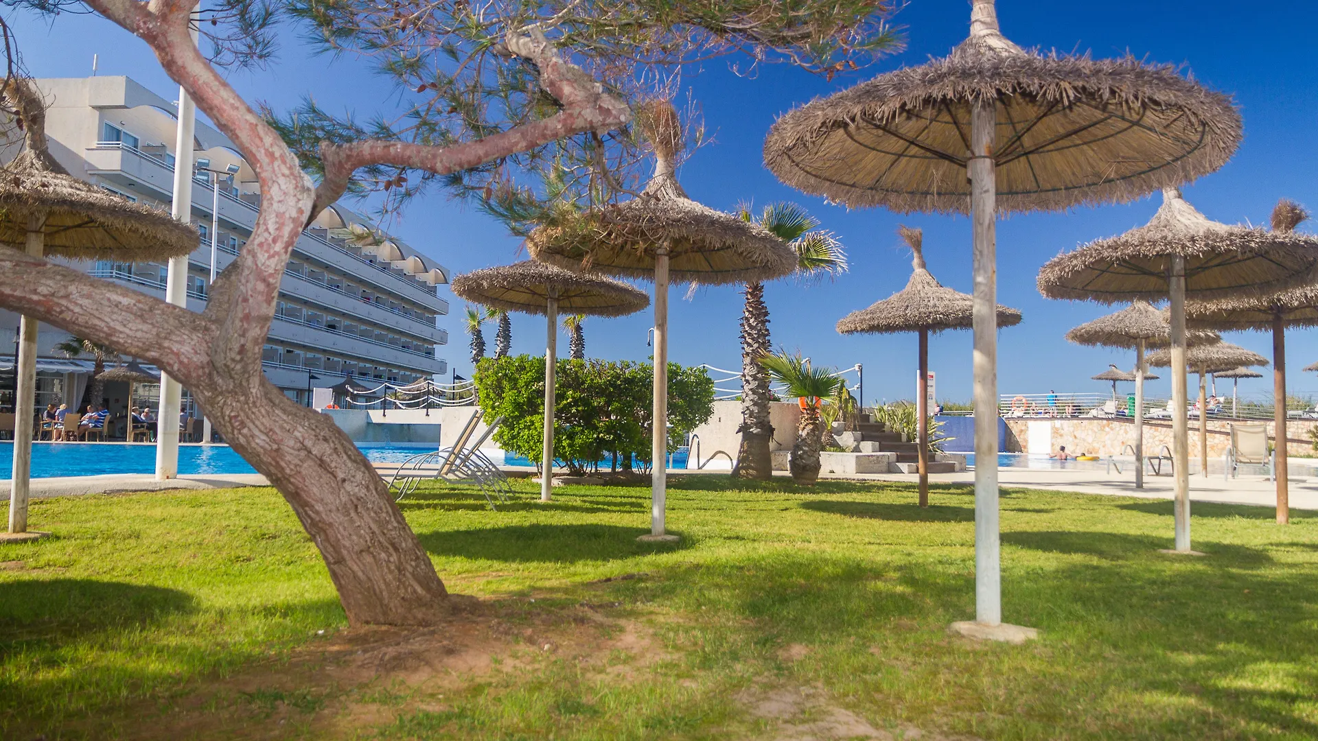 Apart Otel Eix Platja Daurada Hotel & Spa Can Picafort